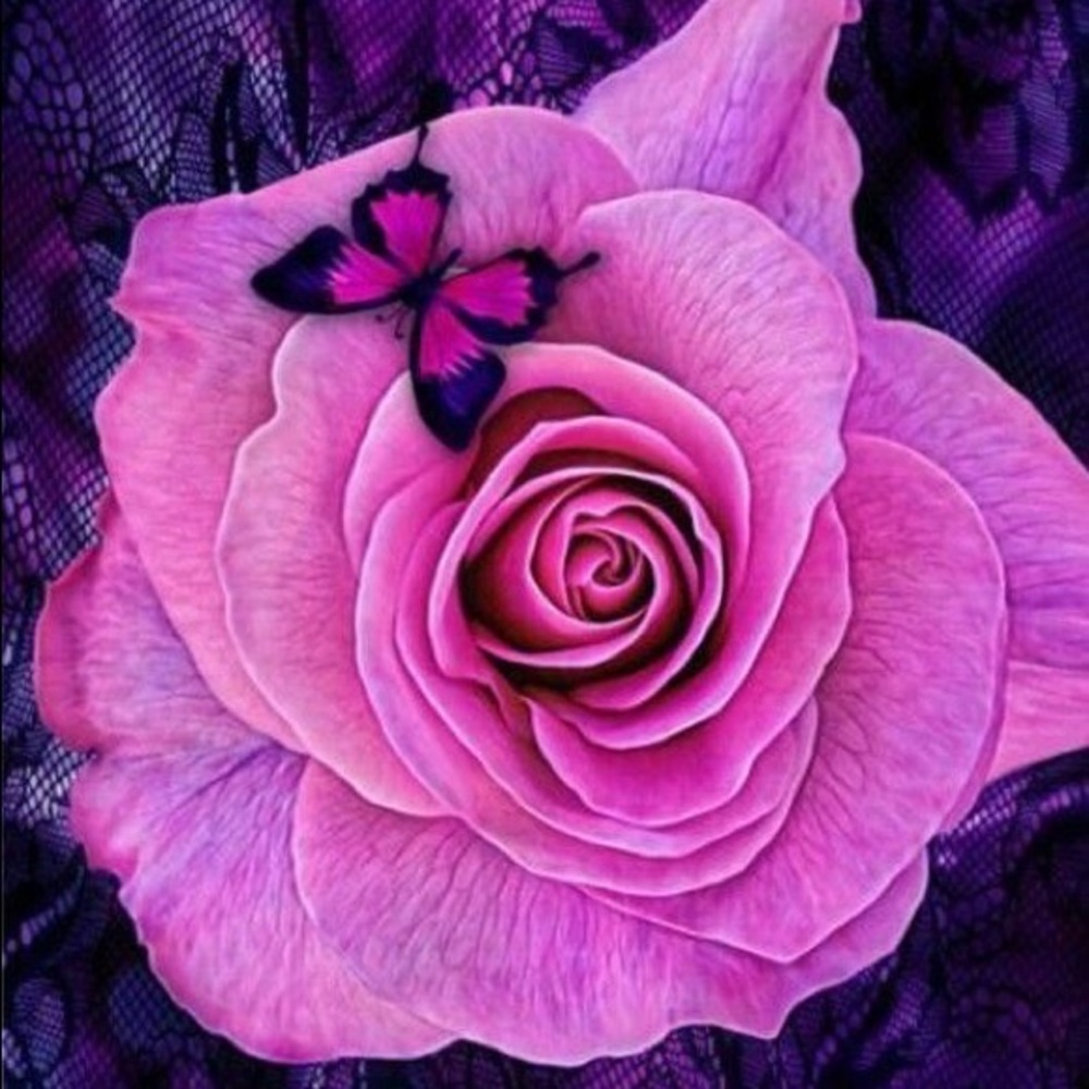 Meet your Posher, Elham